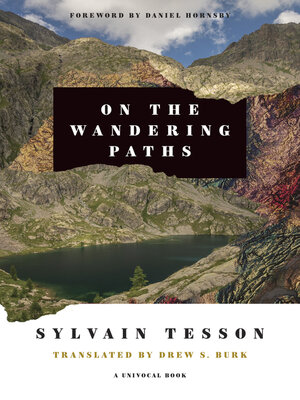 cover image of On the Wandering Paths